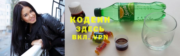 гашик Нея